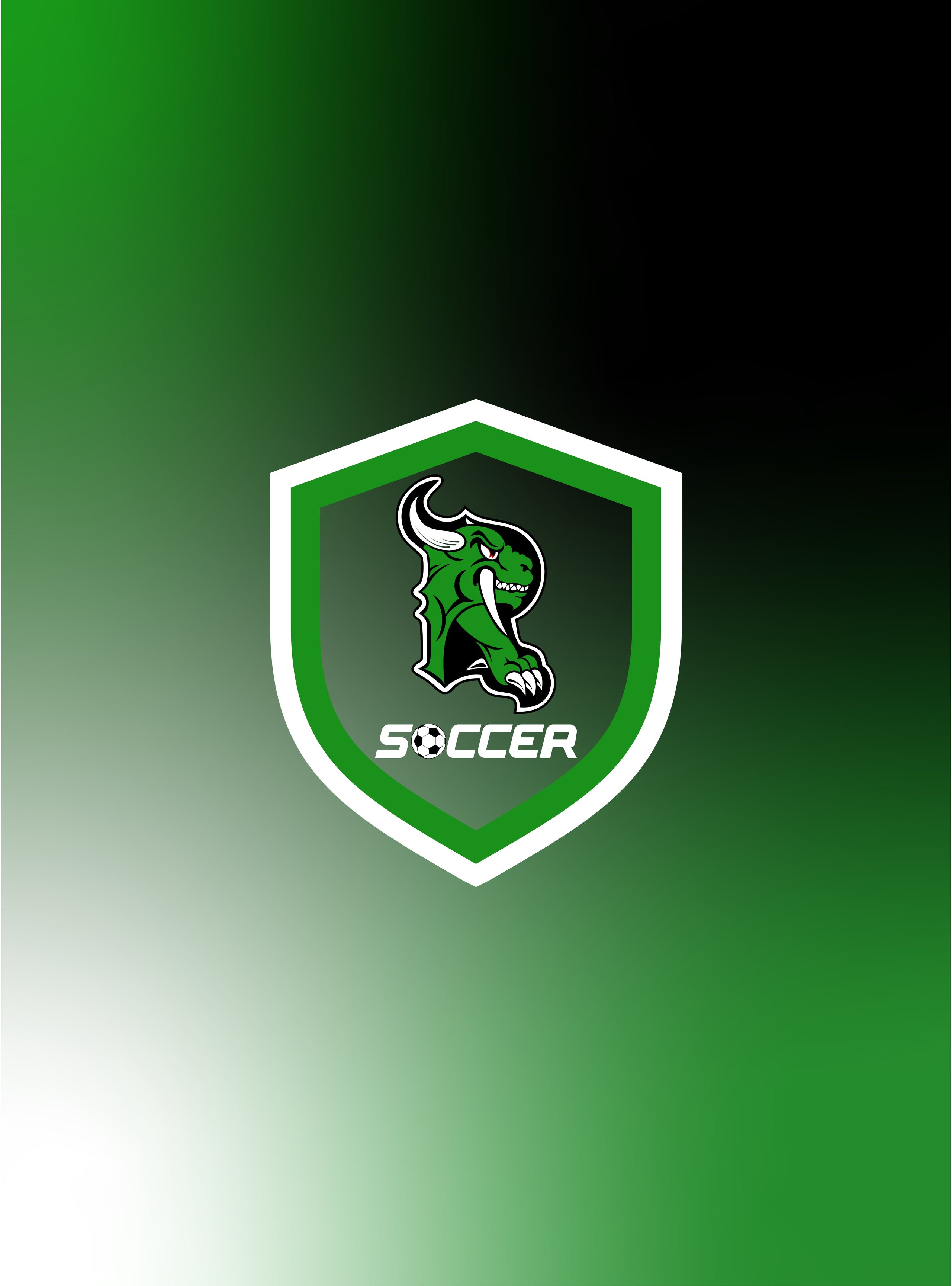 Rhinelander Boys Soccer