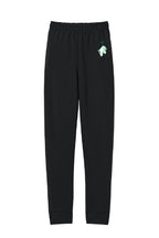 Fleece Jogger, Youth - RFSC